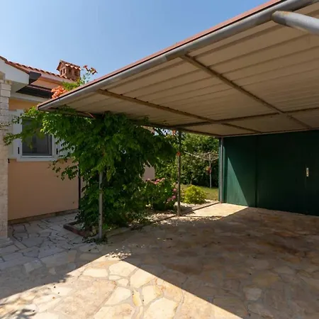 Agava Žbandaj